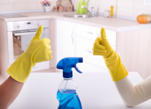 Pricing discussion for a larger carpet cleaning job