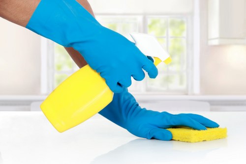Lea Bridge carpet cleaning team beginning work on a residential carpet
