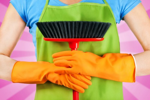 Cleaning solution and tools used for carpet care and stain treatment