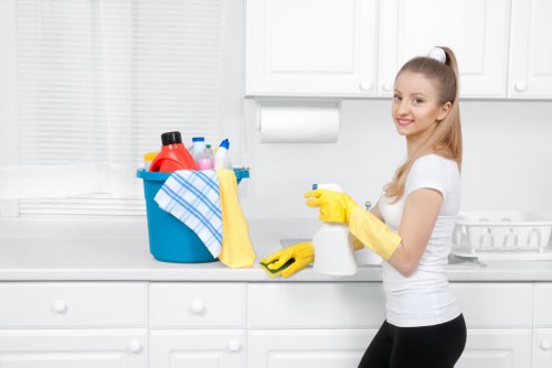Initial assessment of a carpet cleaning complaint