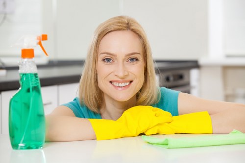 Carpet cleaning team using recycling-friendly supplies in Lea Bridge