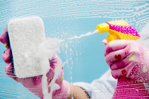 Enzyme cleaning process for pet urine stain removal in a Lea Bridge home