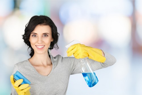 PayPal and card payment options for carpet cleaning services