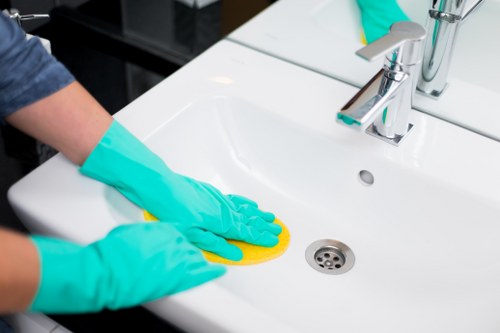 Carpet and rug odour treatment after pet accidents in Lea Bridge