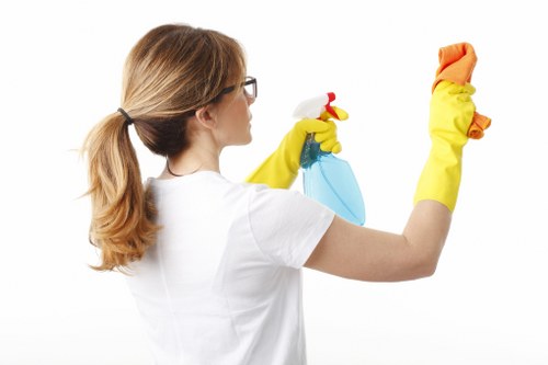 Cleaning methods for stain removal in Lea Bridge