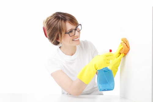 Lea Bridge carpet cleaner restoring a busy household carpet