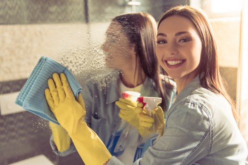 Eco-friendly mattress cleaning service for homes in Lea Bridge