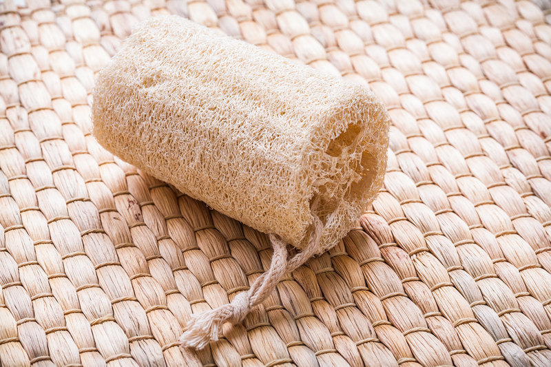 house cleaning tenancy cleaning